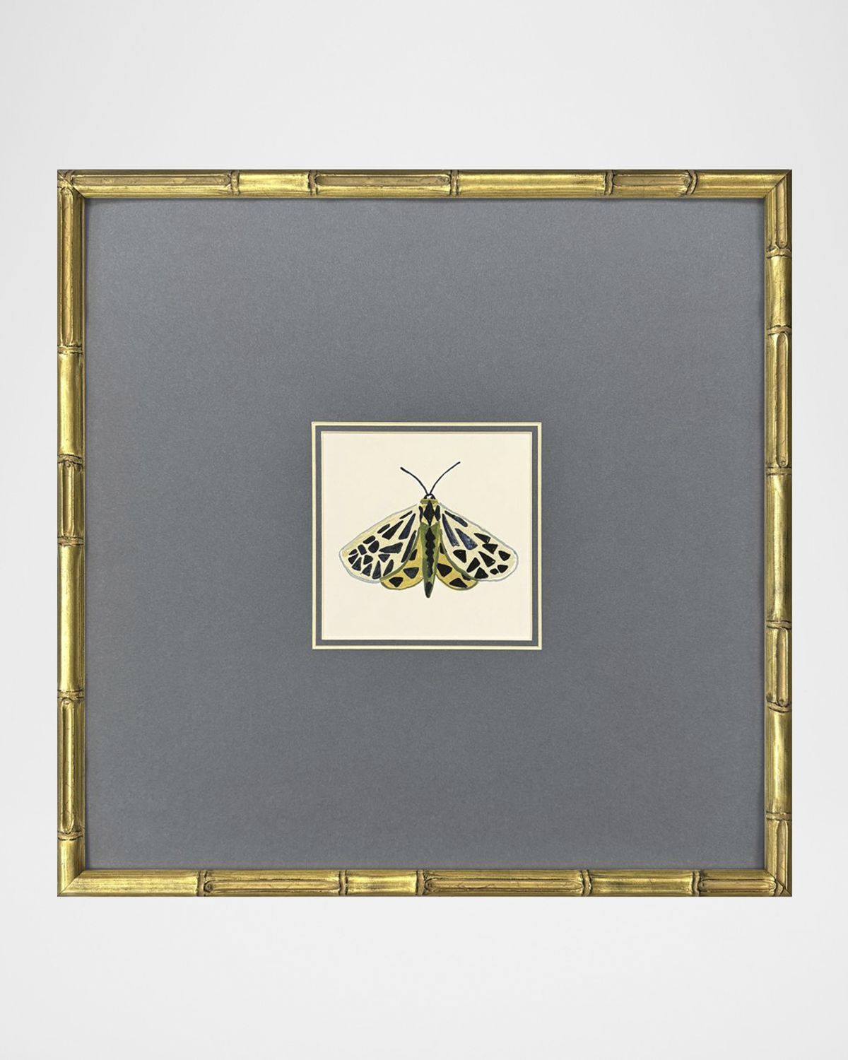 Paragon Decors "Pastel Moths I" Framed Giclees by Farida Zaman | Thumbnail 4