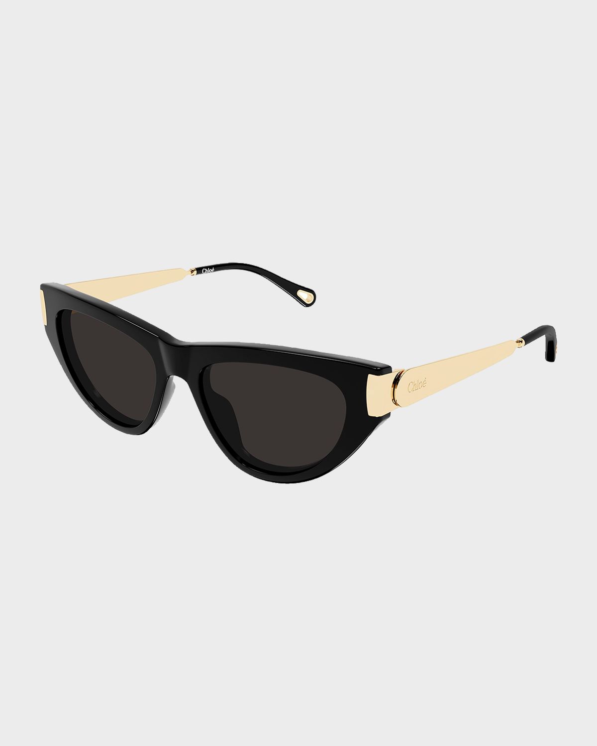 Chloe Holly 54mm Acetate & Metal Cat-Eye Sunglasses