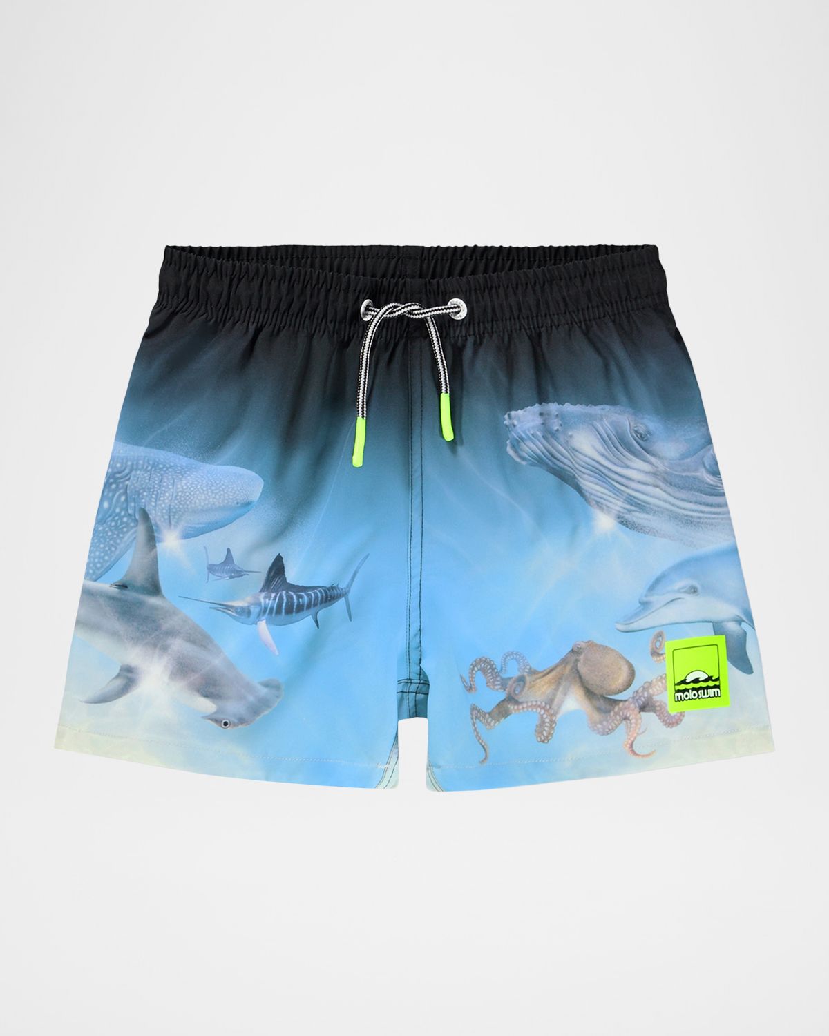 Molo Boy 's Niko Swim Trunks