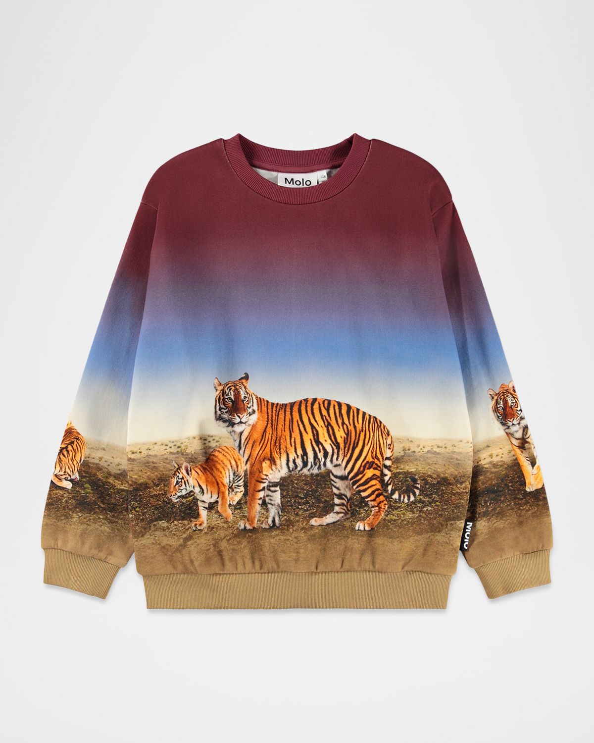 Molo Boy 's Miksi Tiger-Print Organic Cotton Sweatshirt, Size 3-7