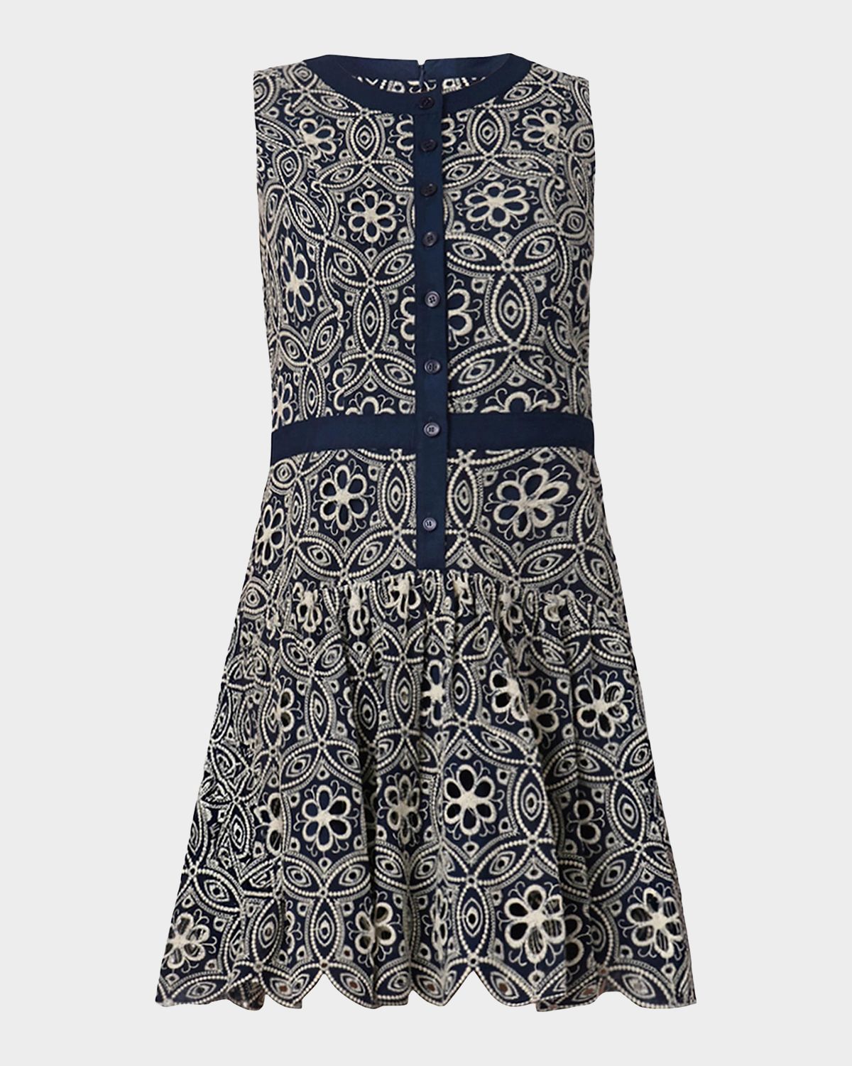 Shoshanna Sierra Floral-Embroidered Flounce Mini Dress