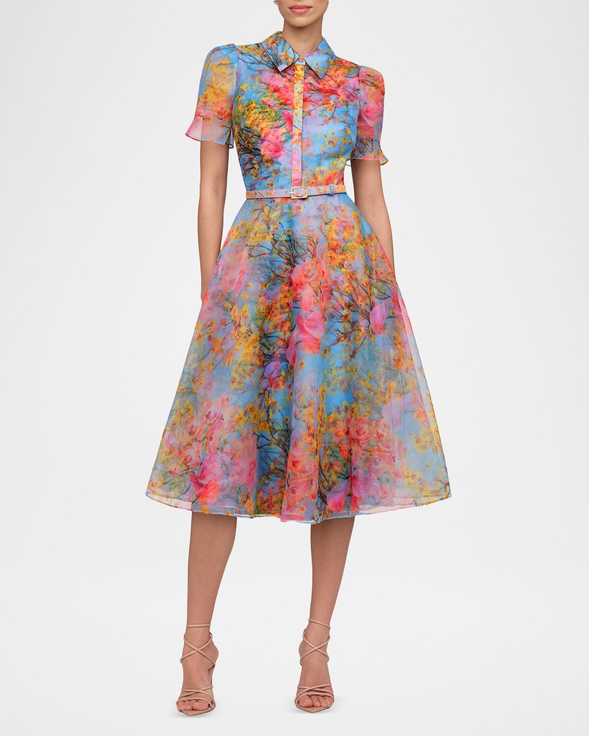 Theia Marcel Floral-Print Organza Midi Dress
