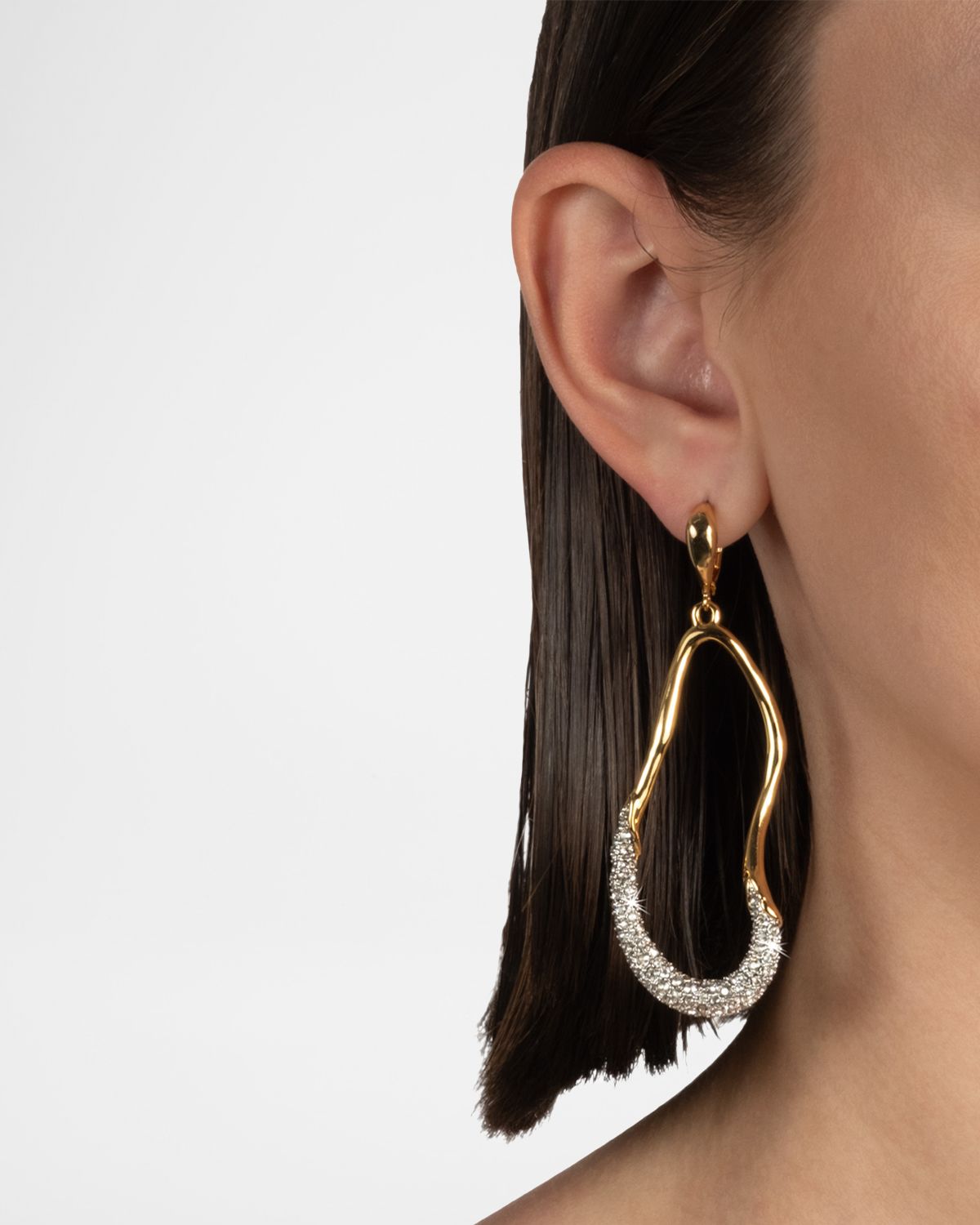 Alexis Bittar Solanales Crystal Curve Leverback Drop Earrings