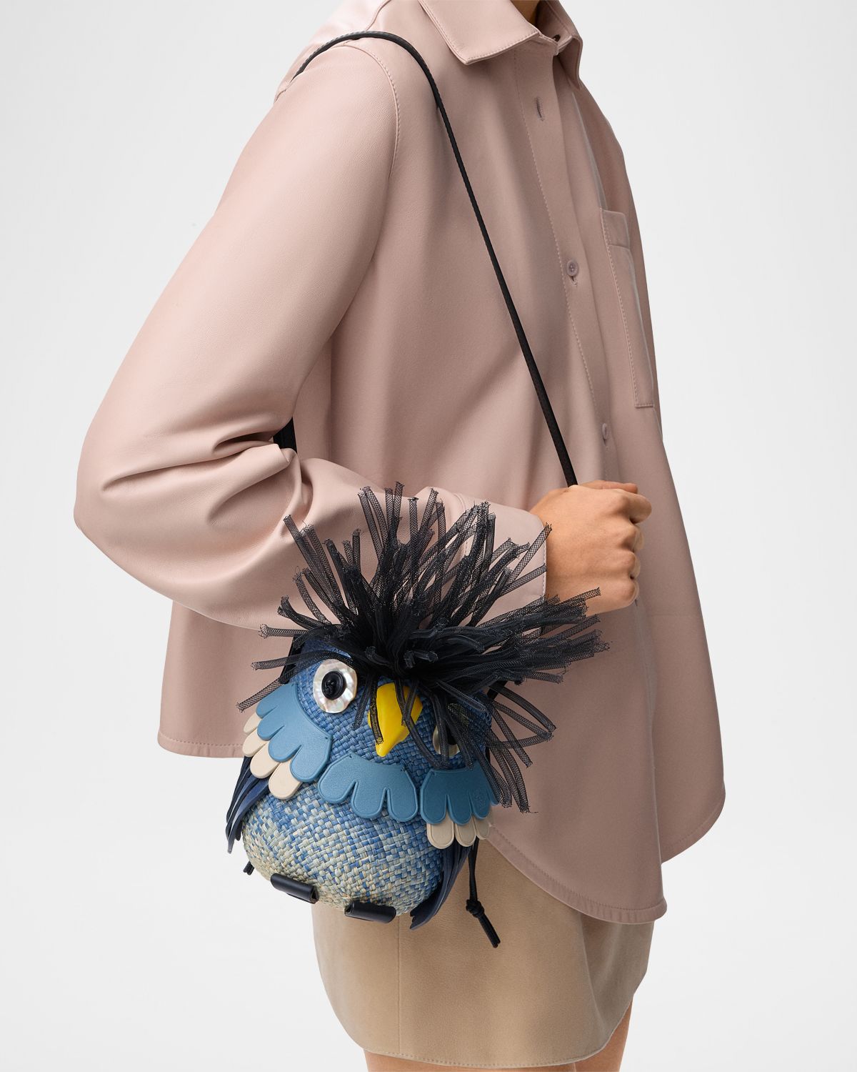 Loewe x Paula 's Ibiza Woven Bird Shoulder Bag