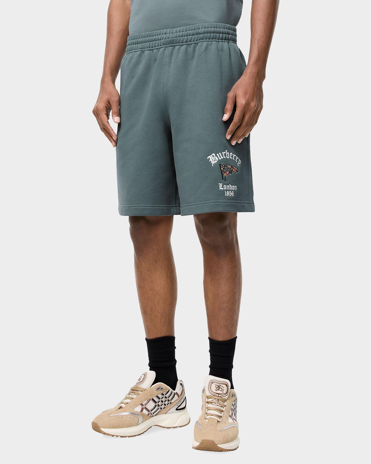 Burberry Men 's Check Flag Cotton Shorts | Thumbnail 3 Burberry Men 's Check Flag Cotton Shorts | Thumbnail 3