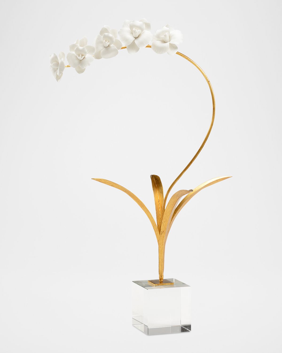 Chelsea House Orchid In Stand | Thumbnail 6