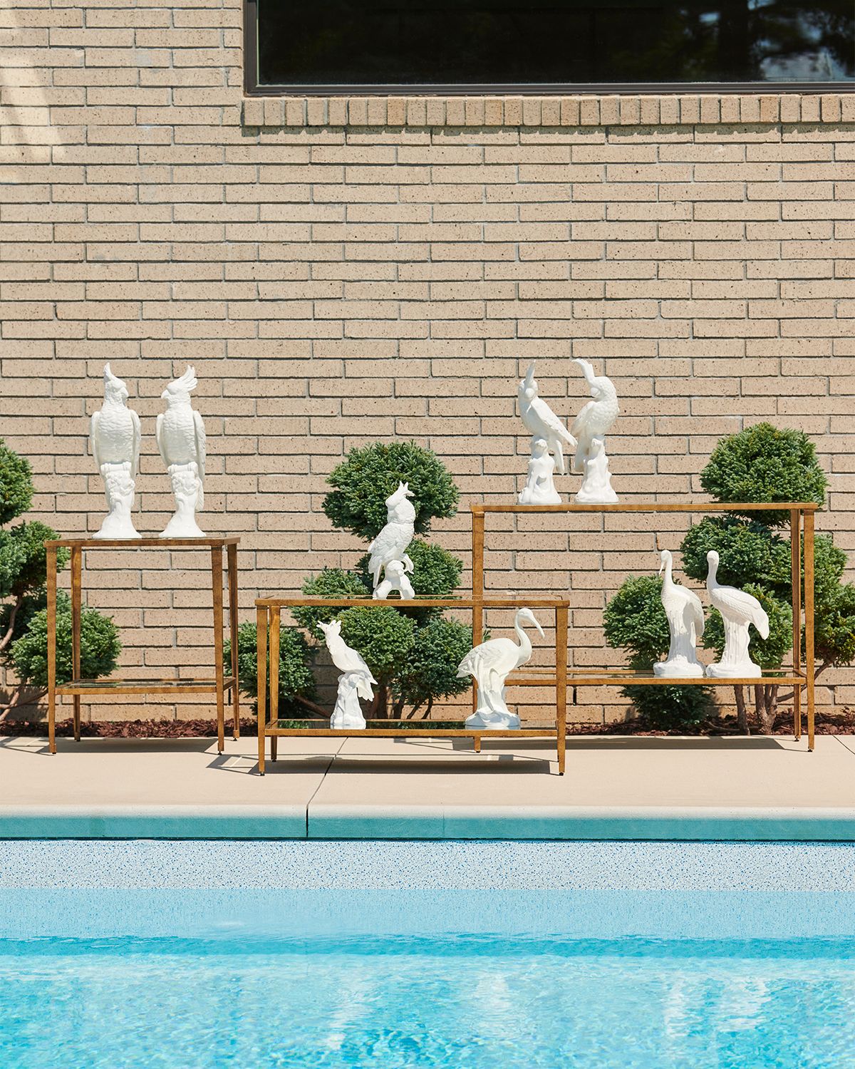 Chelsea House Cockatoo Ceramic Figurines, Set of 2 | Thumbnail 5