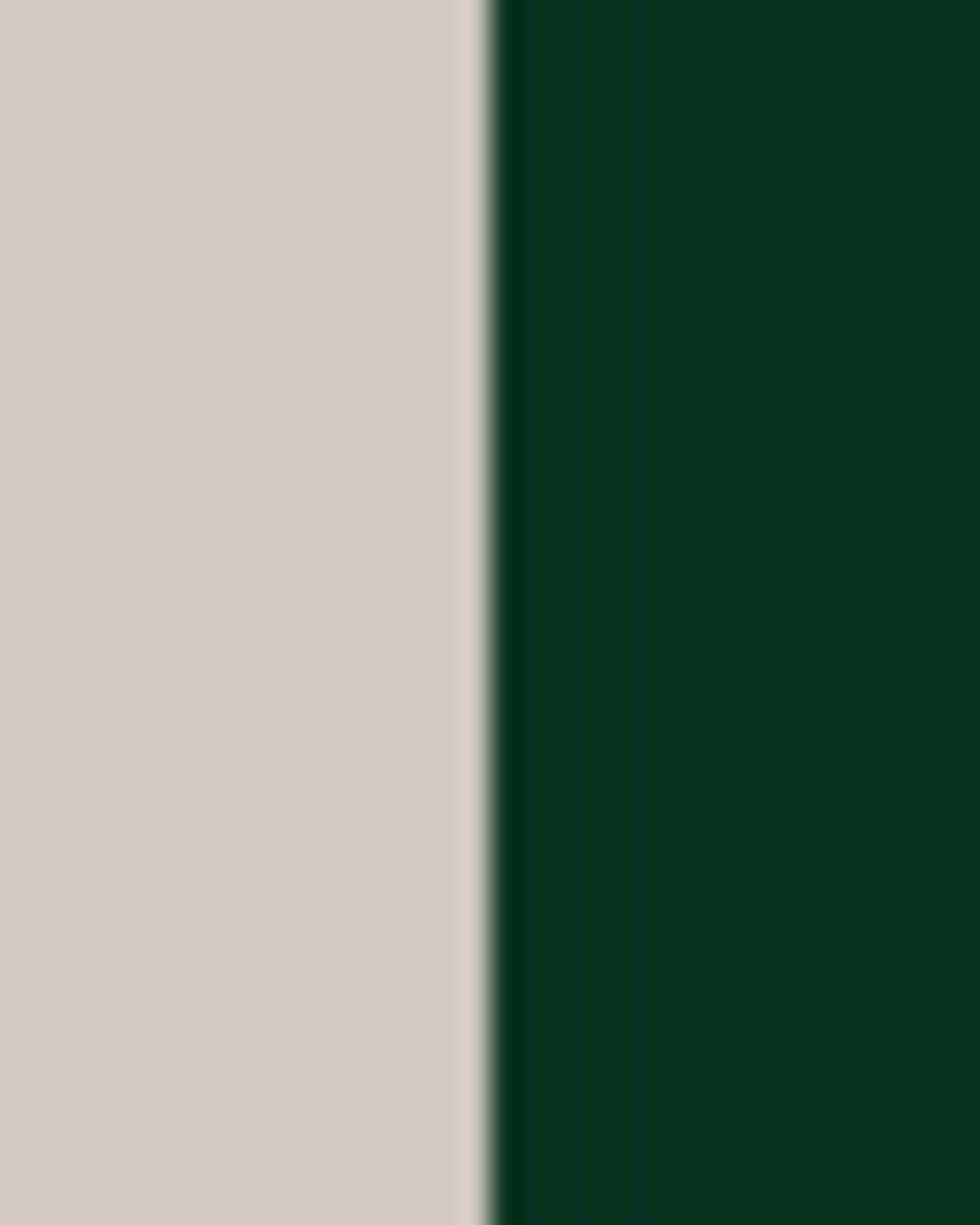 Ralph Lauren Boy 's The Iconic Rugby Shirt, Size 2-7 | Thumbnail 4 Ralph Lauren Boy 's The Iconic Rugby Shirt, Size 2-7 | Thumbnail 4